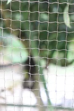 An extreme close-up shot featuring a mesh wire net pattern, creating an abstr Stock Photos