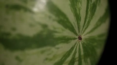 Extreme Close Up Shot of Watermelon Surface 動画素材 145448133