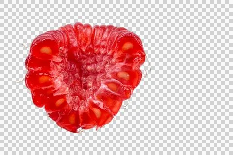 Extreme close-up of a single raspberry showing its intricate texture and seed 스톡 사진
