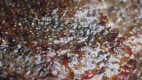 Extreme Close-up of Sizzling Barbecue Beef Steak Grilling with Glistening Juices Stock Footage 338212419