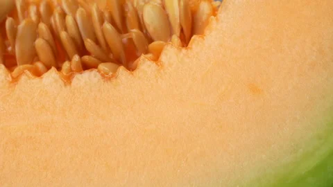 Extreme Close Up Sliced Green Netted Melon Flesh And Seeds Macro Static 4K Stock Footage 323009108