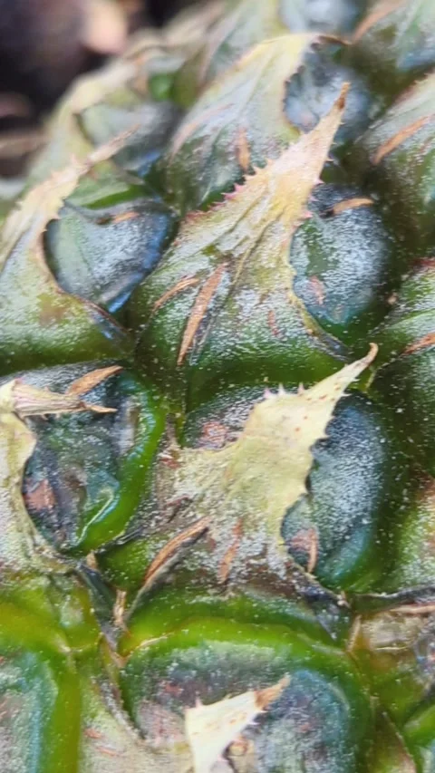 Extreme close-up slow motion of a fresh pineapple skin texture and crown. Stock Footage 328973415