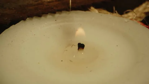 Extreme close up of a small flame burning on a candle Video stock 336004281