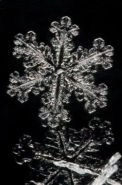 Extreme close up of snow flake Fotos Stock