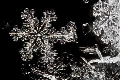 Extreme close up of snow flake 스톡 사진