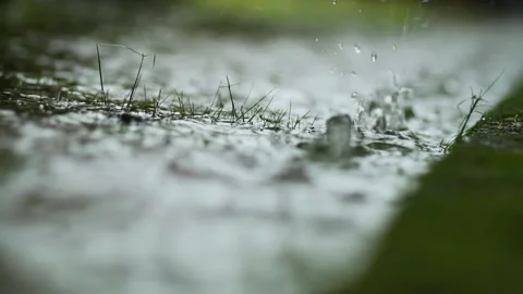Extreme close-up, static background of heavy rain falling on grass Stock Footage 272347982