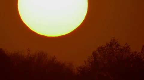 Extreme close-up sunset above forest. REAL TIME. Atmosphere distortion seen Vídeo Stock 42654802