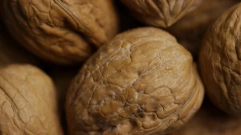 Extreme close up of textured brown walnut shells pile Stock Footage 328136394