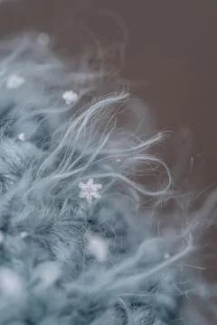 Extreme close up of threads of yarn and a snowflake Stock Photos