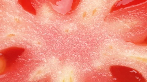 Extreme Close Up Tomato Cross Section Macro Detailed Texture Stock Footage 325431330