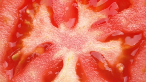 Extreme Close Up Tomato Cross Section Macro Detailed Texture Stock Footage 325432009