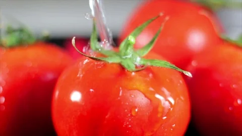Extreme close up tomatoes Video stock 73596514