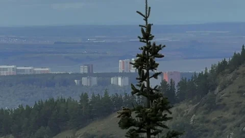 Extreme close up tree Stock Footage 283469185