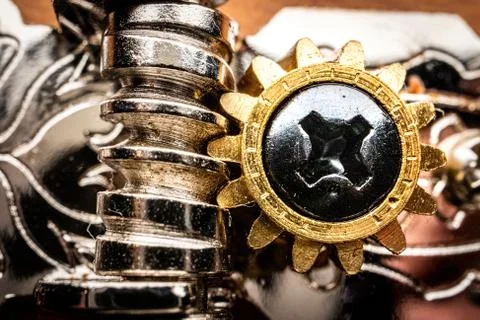 Extreme Close Up of Tuning System Gear on Mandolin Foto stock