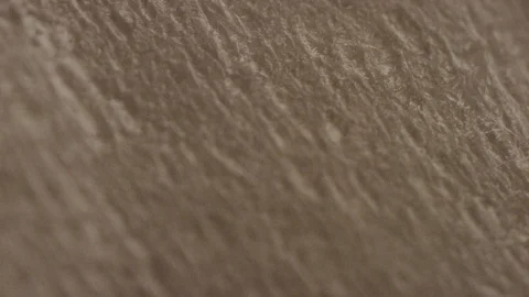 Extreme Close-ups of pulp. Stock Footage 100283619