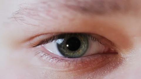 Extreme close up view of opening green eye, human iris pupil contracting. Macro Stock Footage 104555190