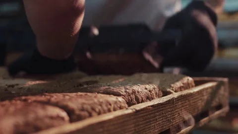 Extreme close up view of steaming hot ready-made loaves of bread sorted by the Stock Footage 77514841