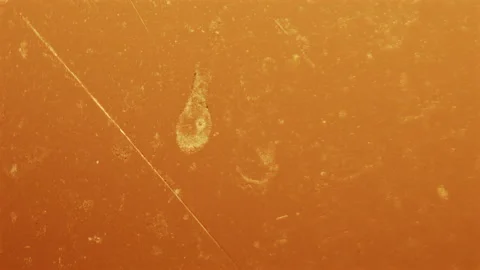 Extreme close up of a warm amber colored translucent surface Stock Footage 336783226