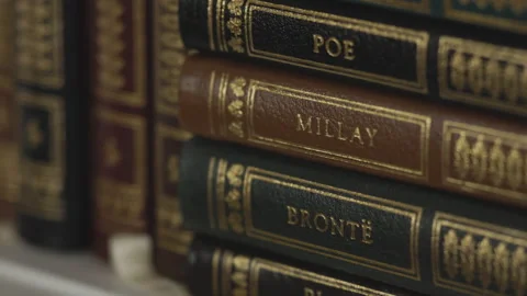 Extreme Closeup Macro of Gold Leaf Leather Bound Books with Authors on Spines Stock Footage 317845540
