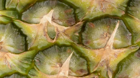Extreme closeup  of pineapple fruit - pan across exterior of pineapple Stock Footage 104528402