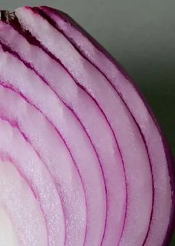 Extreme closeup of red onion layers on gray background Stock Photos