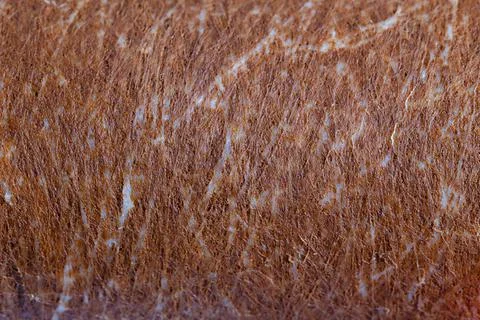 Extreme closeup view of used, rusty and clogged mechanical polypropylene water Photos