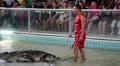 Extreme crocodile show in Pattaya, Thailand HD Footage