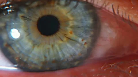 Extreme eye II Stock Footage 10588933