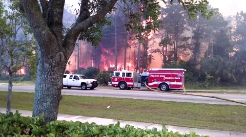 Extreme Forest Fire 1 Stock Footage 48985649