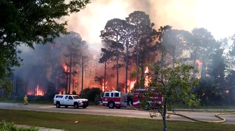 Extreme Forest Fire 2 Stock Footage 48984437