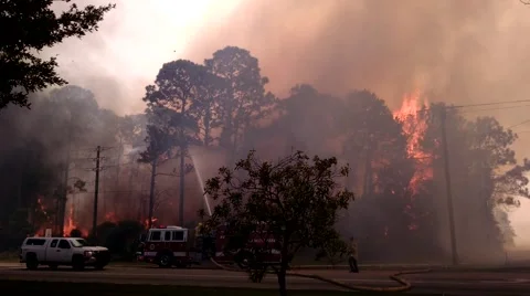 Extreme Forest Fire 3 Stock Footage 48984428