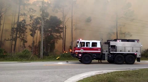 Extreme Forest Fire 5 Stock Footage 48984310