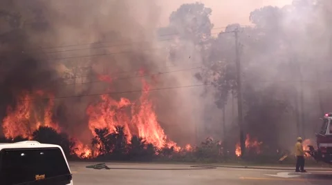 Extreme Forest Fire 7 Stock Footage 48984395