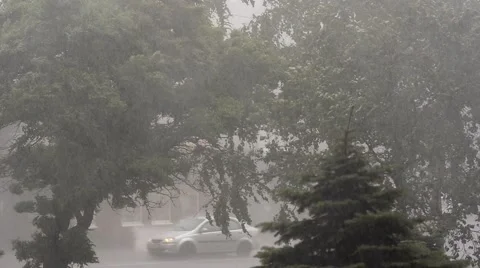 Extreme Hurricane Winds Lash Trees In Ukraine Stock Footage 54990519