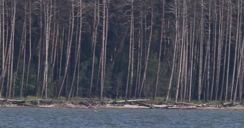 Extreme long shot panning left to right showing the sandy shore Stock Footage 342711217
