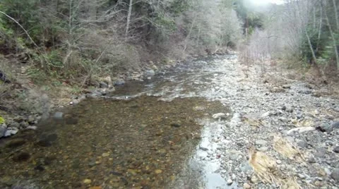 Extreme low level creek flyover Stock Footage 11583281