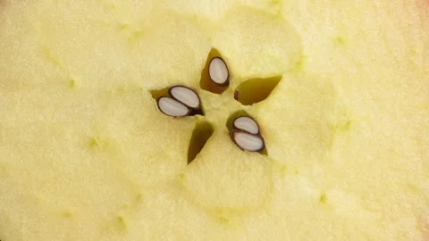 Extreme Macro Apple Cross Section With Star Shaped Core Rotating 4K Stock Footage 321866361