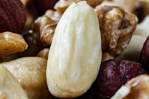 Extreme macro of assorted nuts including almond, hazelnut, and walnut with .. Stock Photos