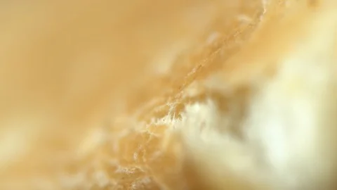 Extreme macro bread Stock Footage 119079950