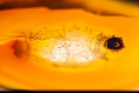 Extreme macro of brown agate slice mineral, abstract background Stock Photos