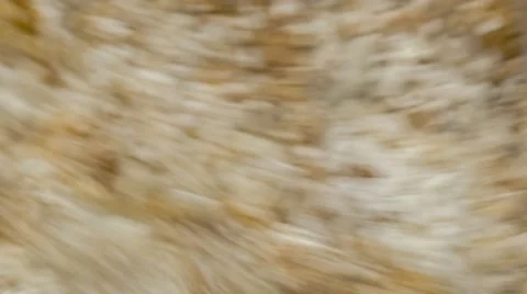 Extreme macro of cake flour with various dry baking ingredients being mixed t Stock Footage 61846351