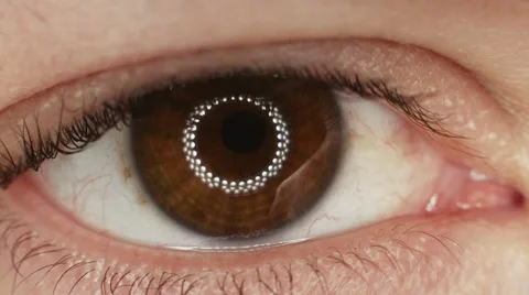 Extreme macro close up eye iris pupil contracting eye light reflection. Stock Footage 45436045