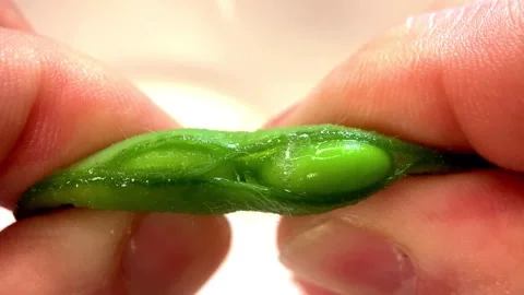 Extreme macro close-up of fresh edamame bean being squeezed out of pod - 4K Stock Footage 336232090