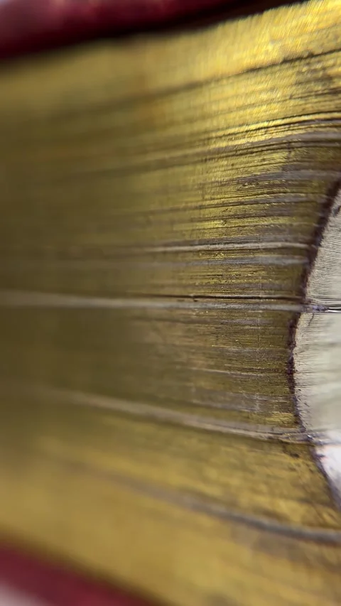 Extreme Macro Close-Up of the Gilded Edge of a Vintage Book Stock Footage 321880483
