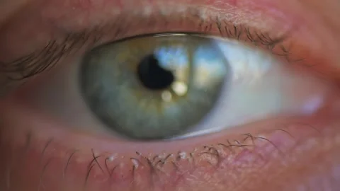 Extreme macro close up of human blue eye iris and pupil reacting to light a.. Stock Footage 339417557