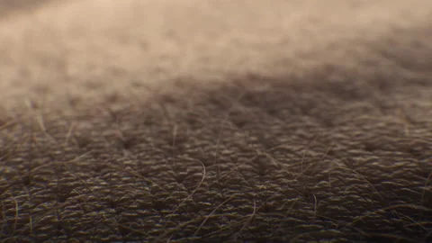 Extreme macro close up of human skin texture Stock Footage 155277447