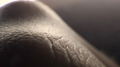 Extreme macro close up of human skin texture Stock Footage 155277848