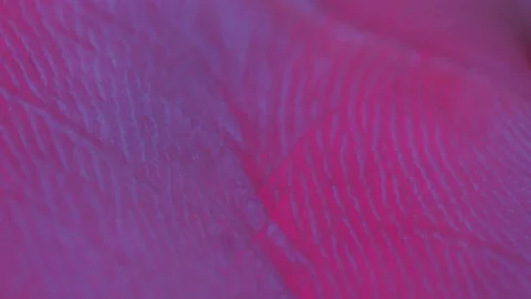Extreme macro close up of human skin texture Stock Footage 155281834