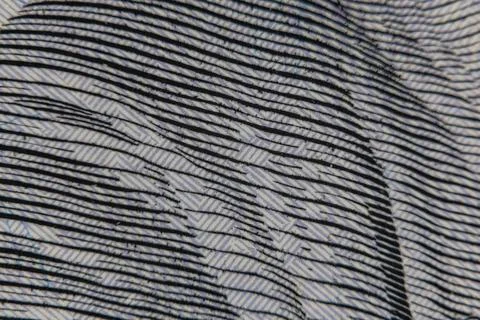 Extreme macro close up of microprinting typography and security pattern on .. Stock Photos