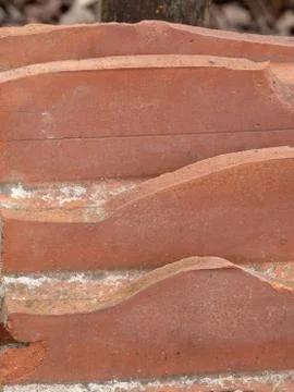 Extreme macro close-up of texture for background Stock Photos